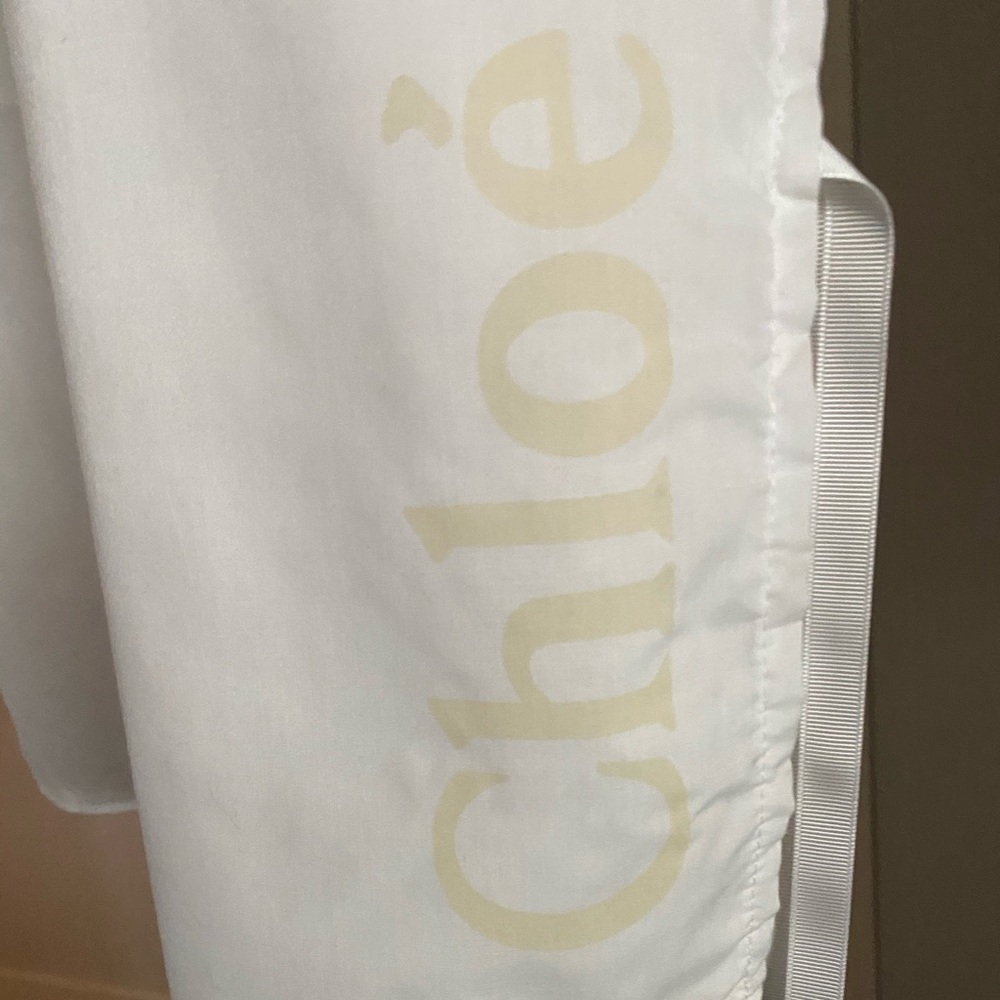 Chloé Dress Saver/Garment bag.
